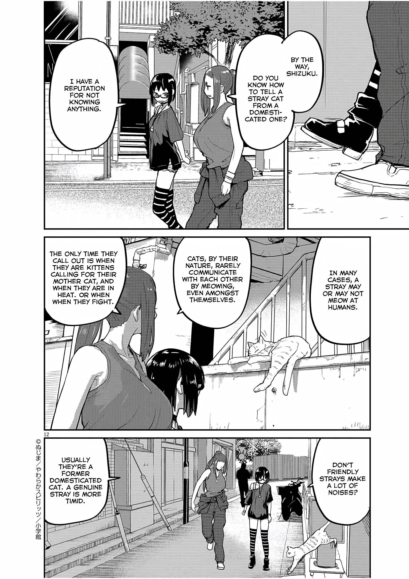 Page 13 of Chapter 43