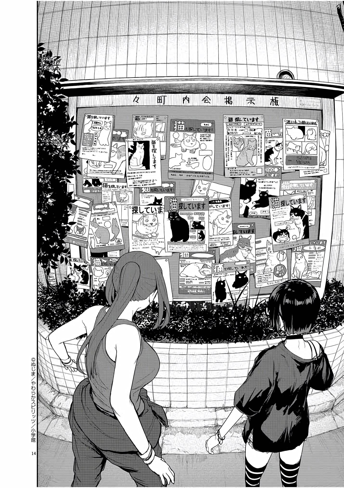 Page 15 of Chapter 43
