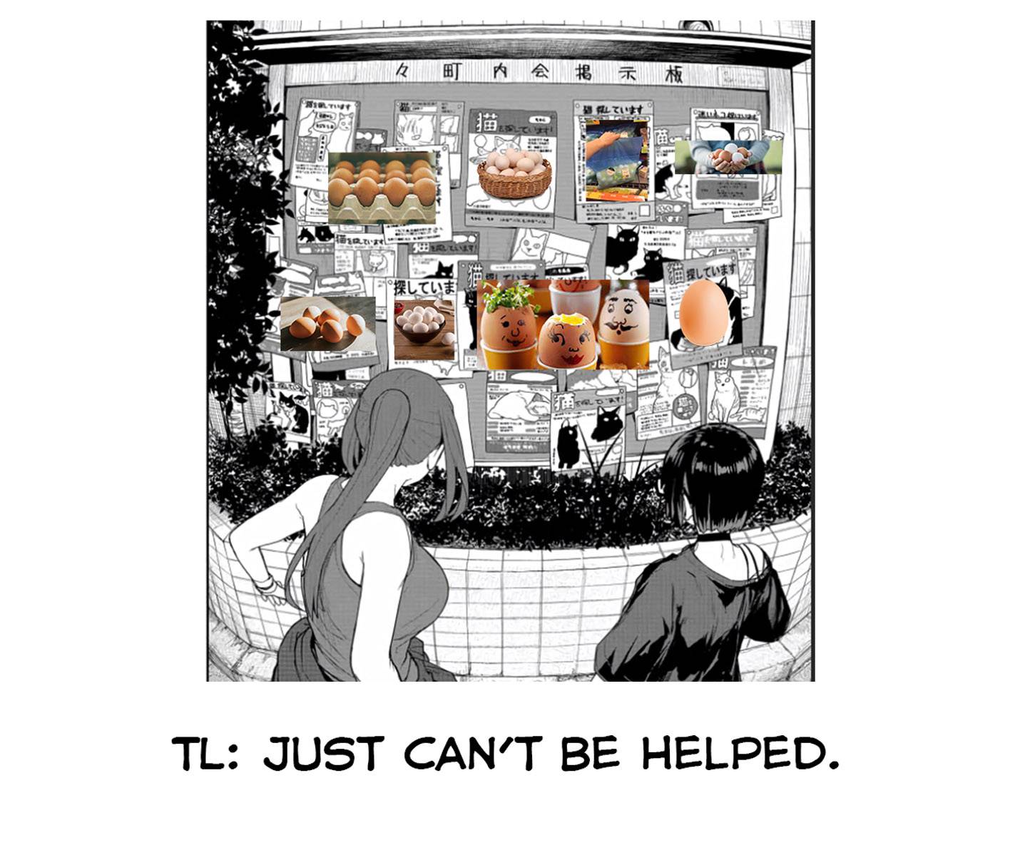 Page 16 of Chapter 43