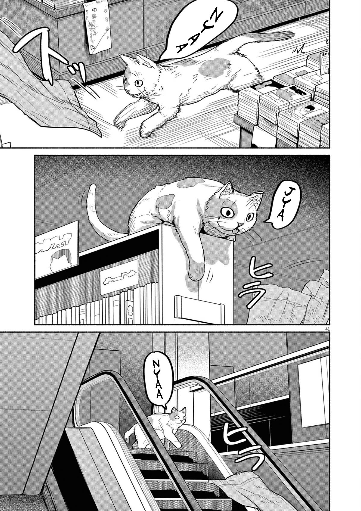 Page 12 of Chapter 47