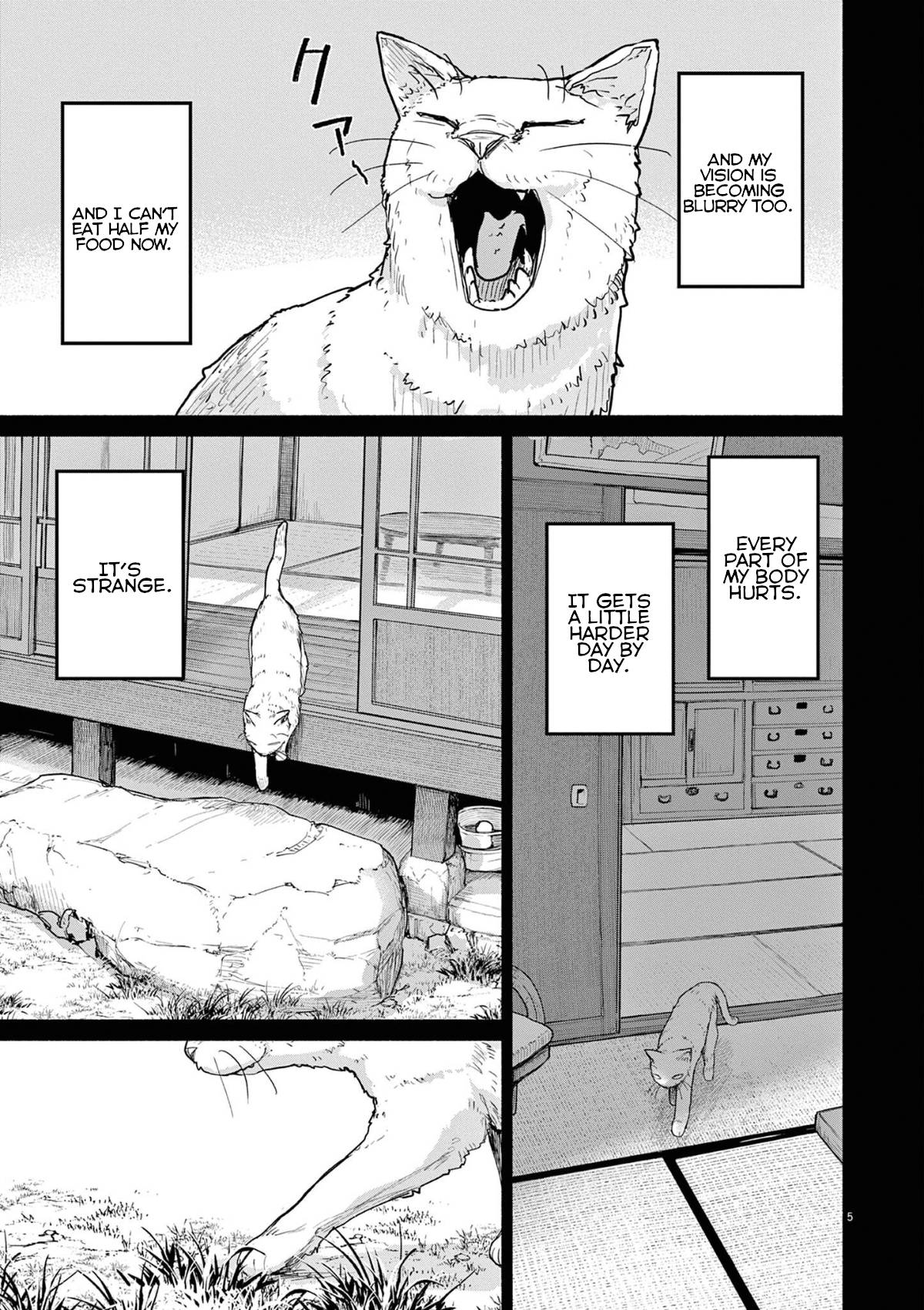Page 5 of Chapter 49