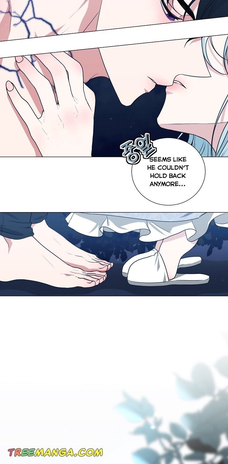 Page 17 of Chapter 29
