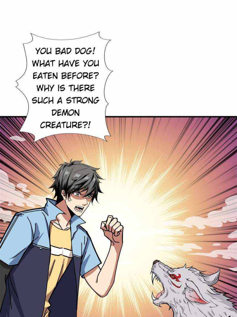 Page 43 of Chapter 178