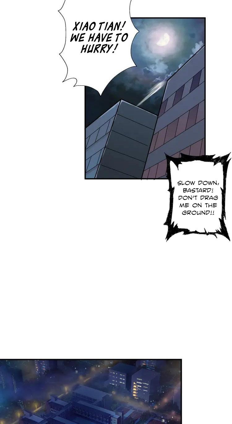 Page 29 of Chapter 43
