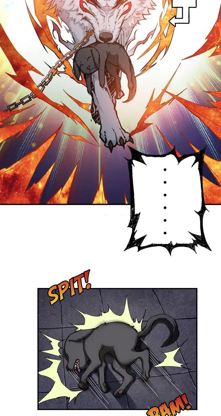 Page 20 of Chapter 45