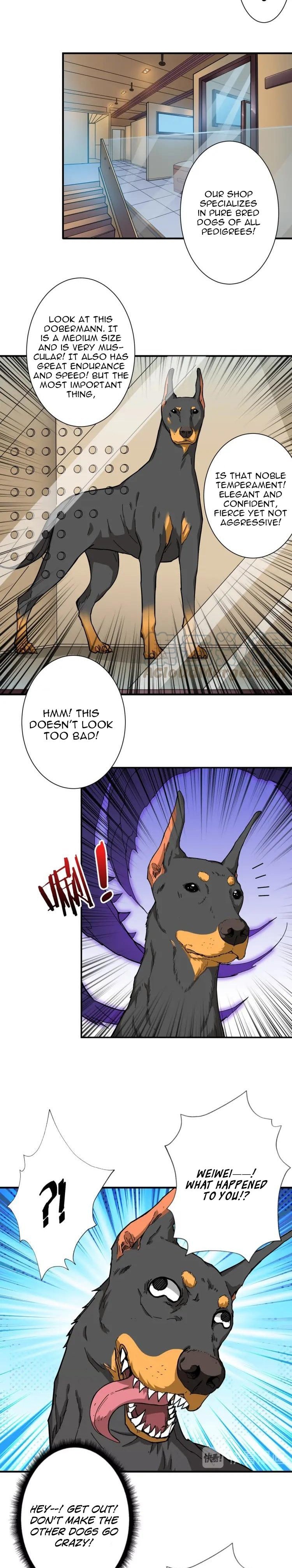 Page 4 of Chapter 66