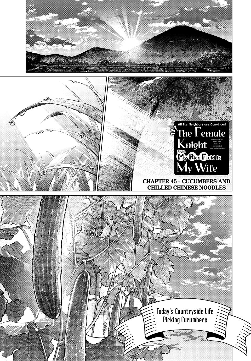 Page 1 of Chapter 45