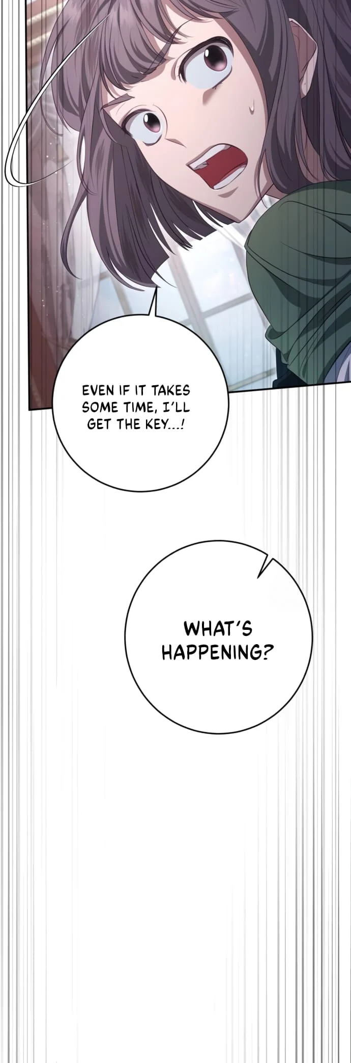 Page 17 of Chapter 33