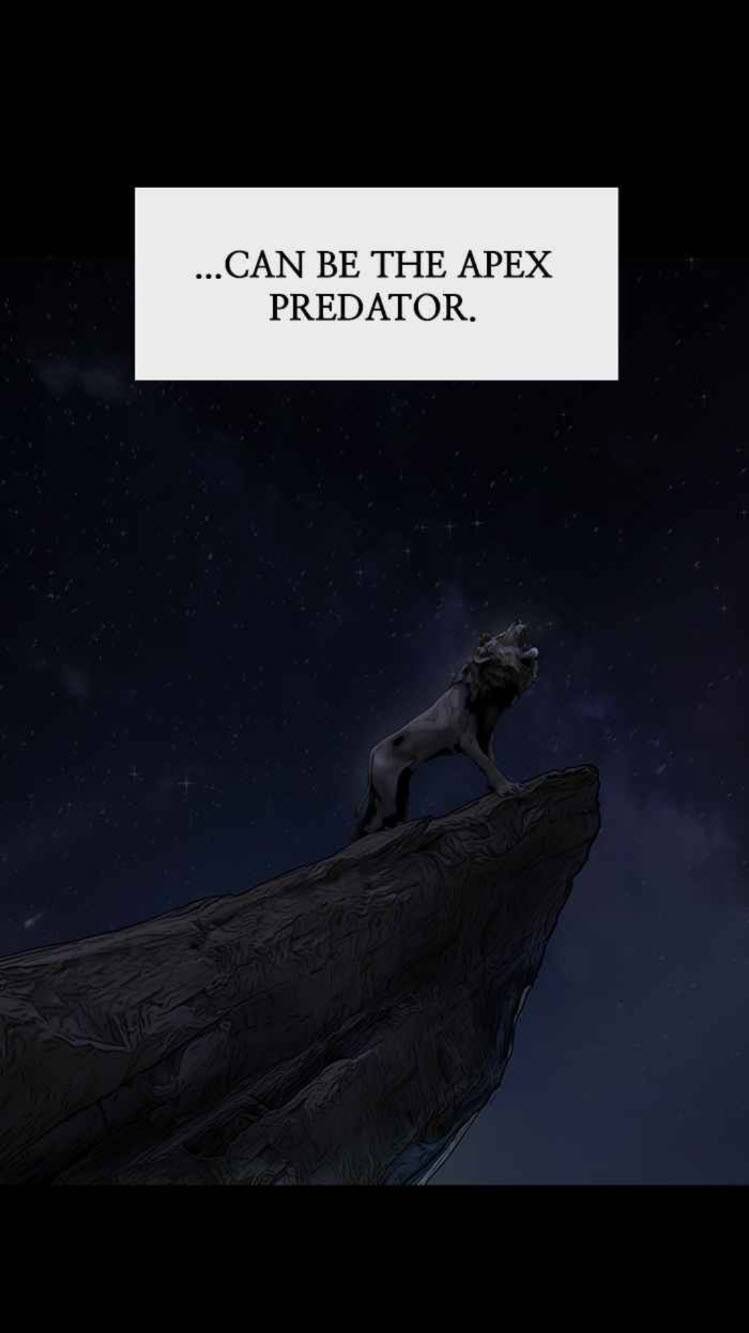 Page 14 of Chapter 177