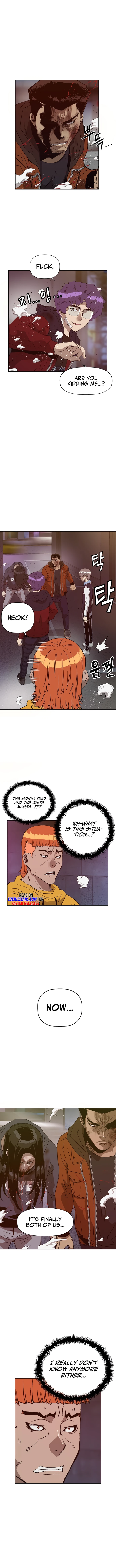 Page 3 of Chapter 223