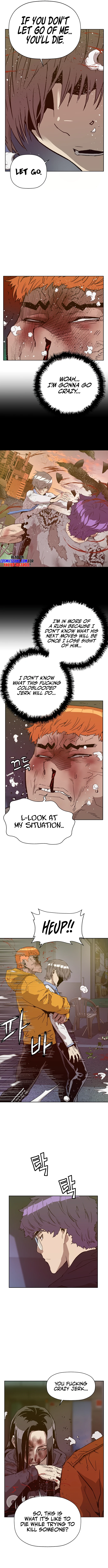 Page 6 of Chapter 223