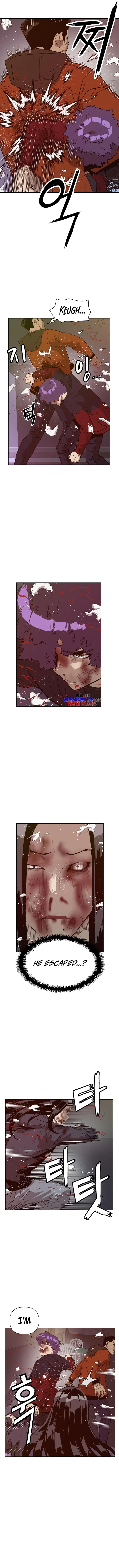 Page 5 of Chapter 224
