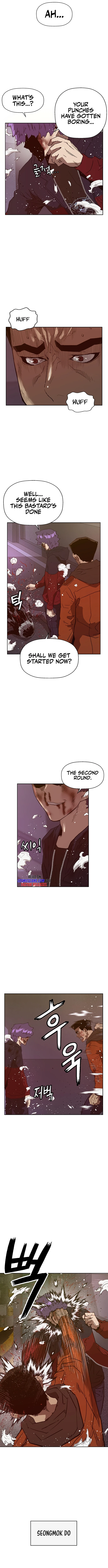 Page 13 of Chapter 224