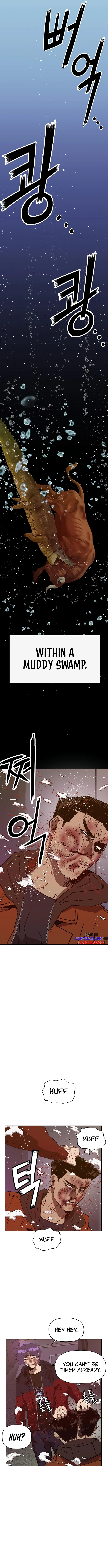 Page 15 of Chapter 224