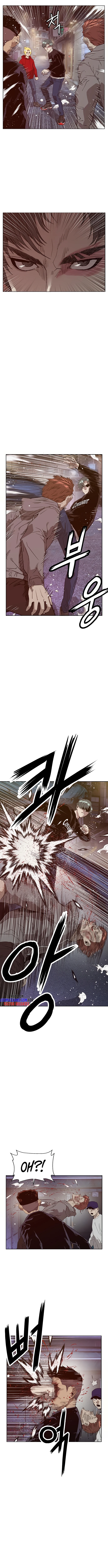 Page 5 of Chapter 225