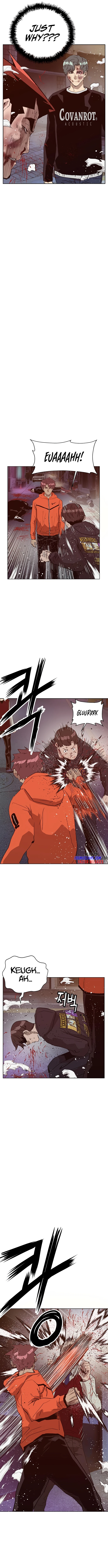 Page 13 of Chapter 226
