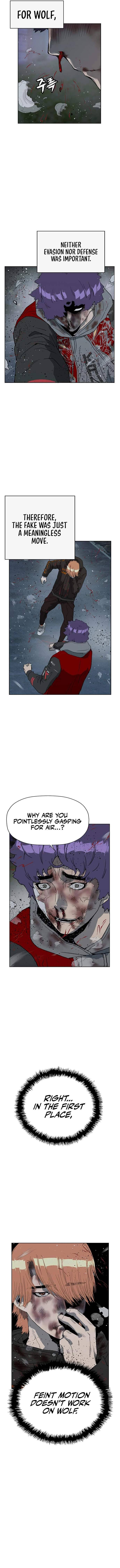 Page 13 of Chapter 243