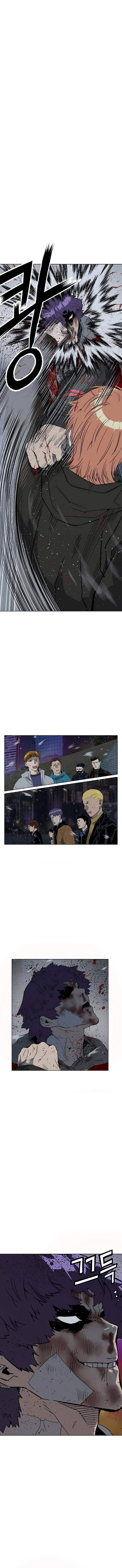 Page 16 of Chapter 243
