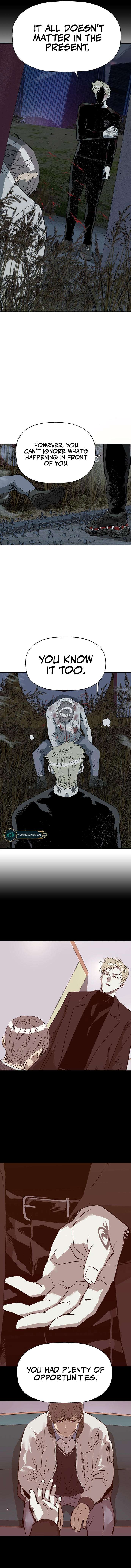 Page 17 of Chapter 253