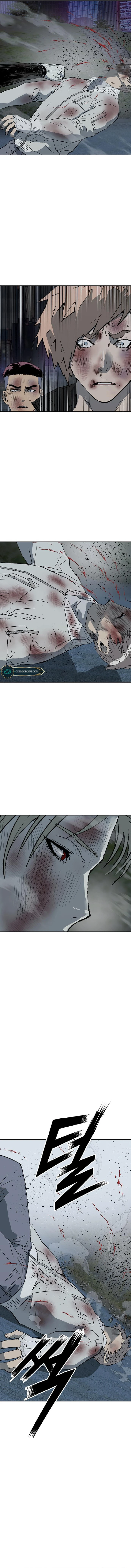 Page 15 of Chapter 254