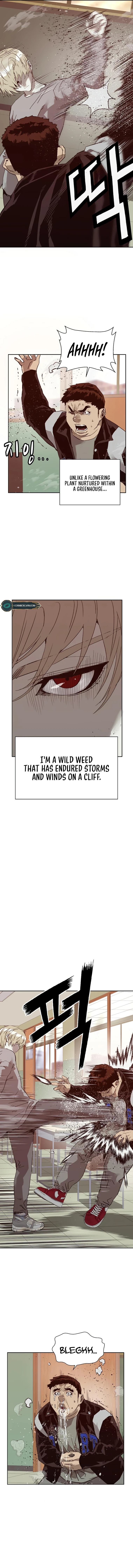 Page 3 of Chapter 260