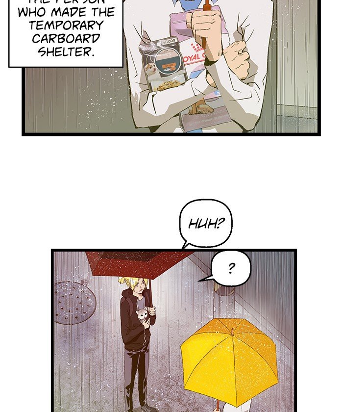 Page 41 of Chapter 49