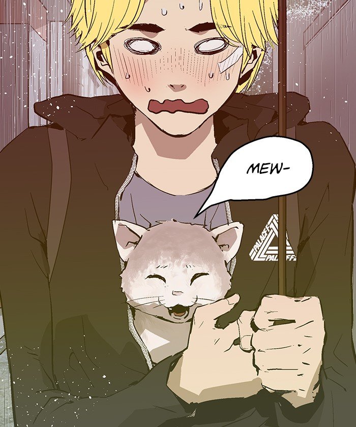 Page 43 of Chapter 49