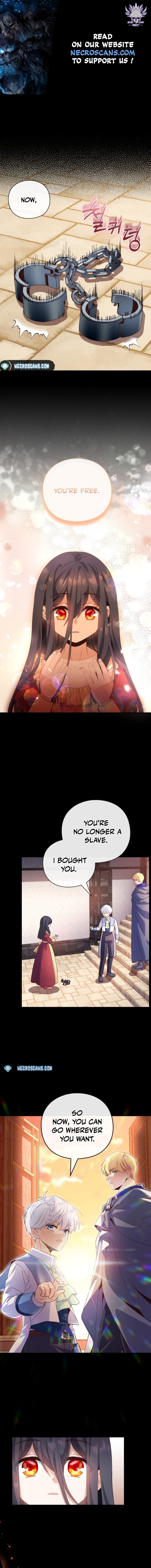Page 1 of Chapter 3