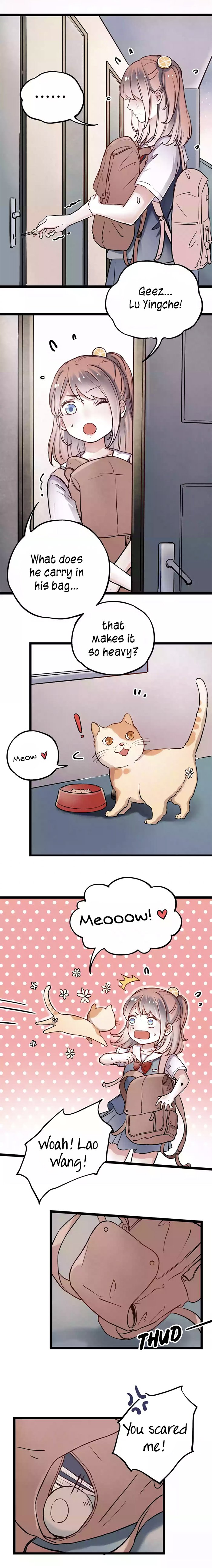 Page 24 of Chapter 3