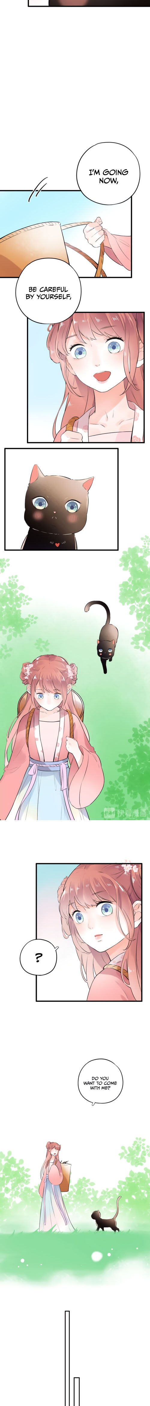 Page 3 of Chapter 46.5