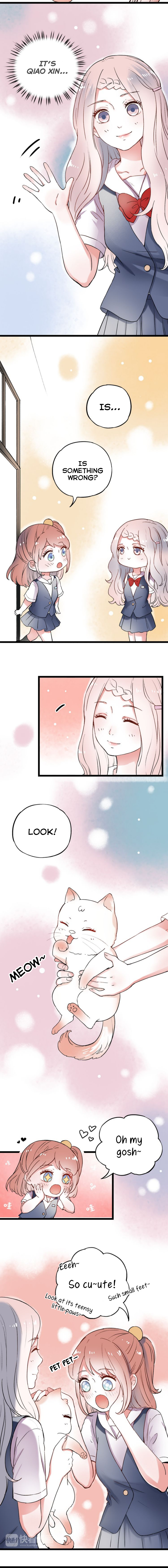 Page 7 of Chapter 8