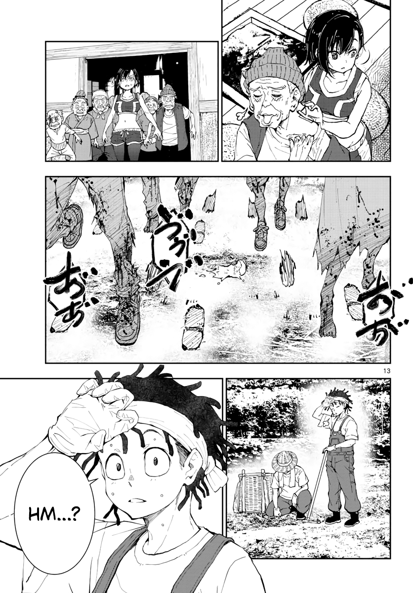 Page 13 of Chapter 17
