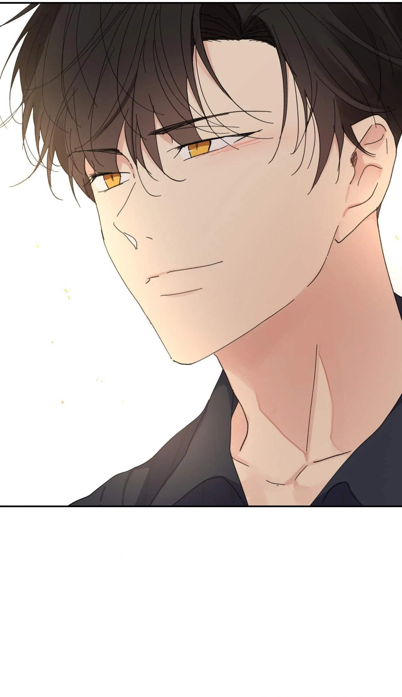 Page 102 of Chapter 104