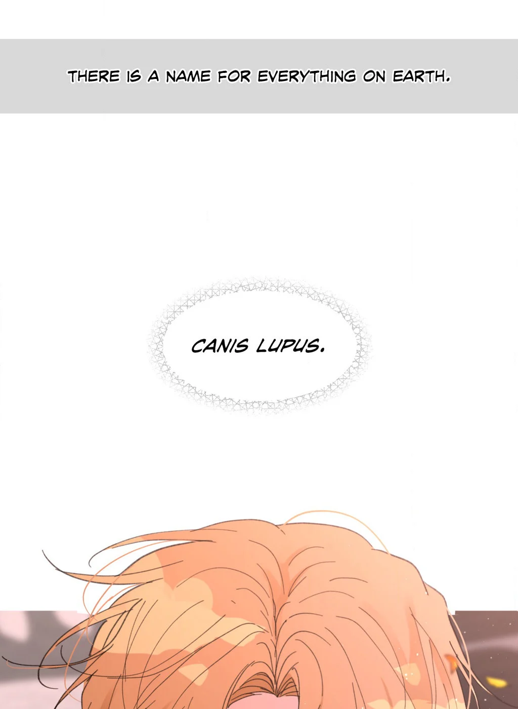 Page 62 of Chapter 105