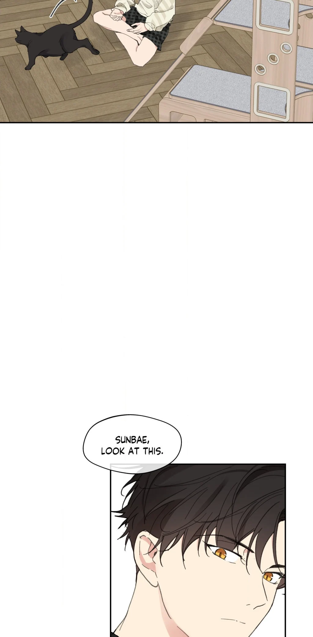 Page 52 of Chapter 107