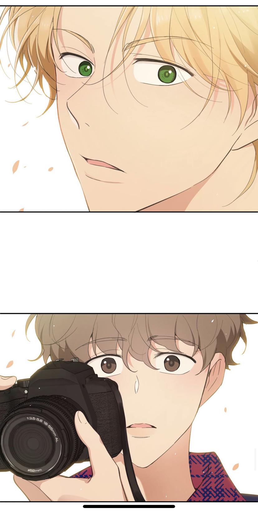 Page 42 of Chapter 11