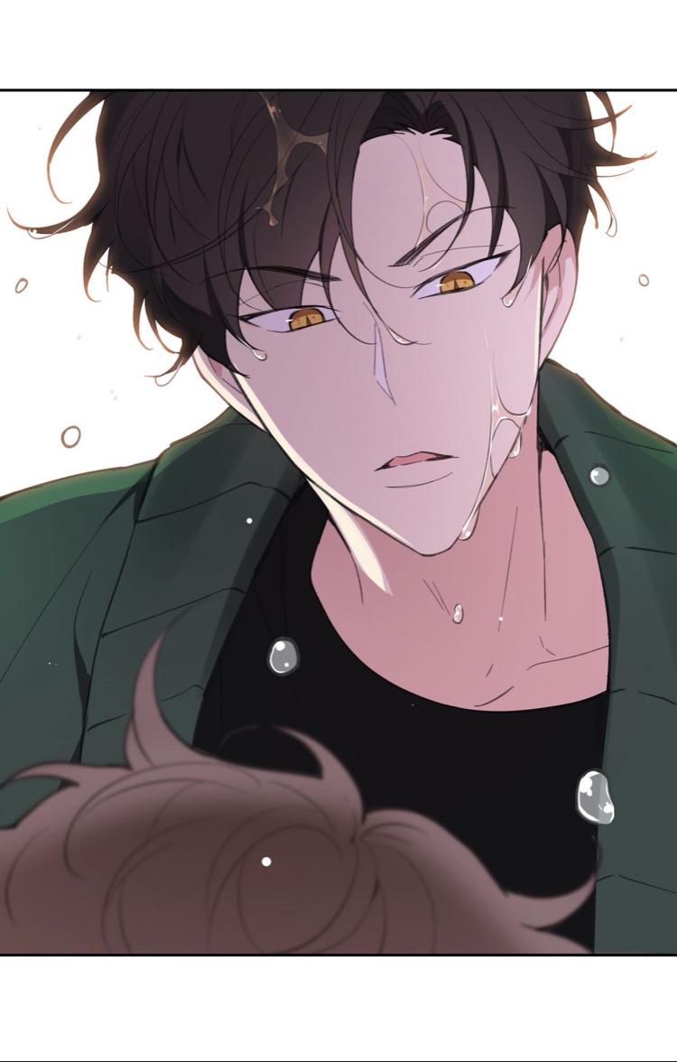 Page 62 of Chapter 12