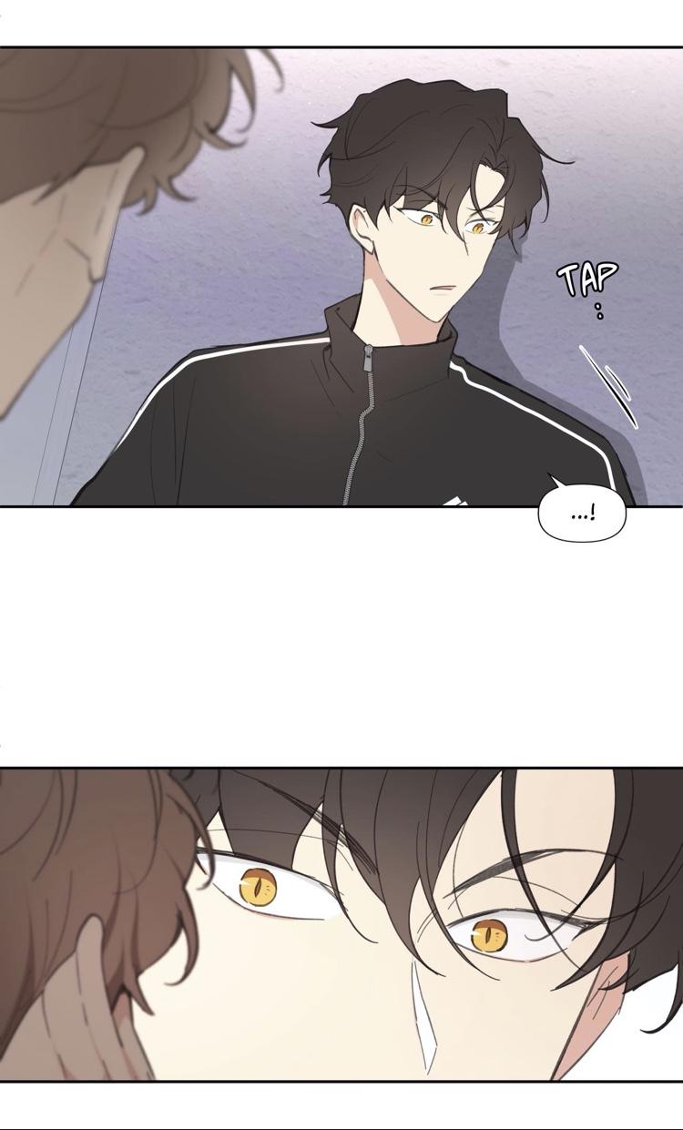 Page 65 of Chapter 13