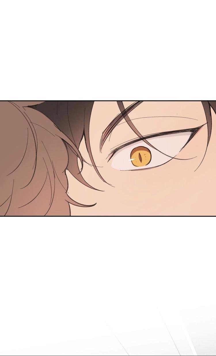 Page 67 of Chapter 13