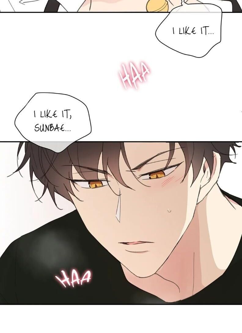 Page 23 of Chapter 34