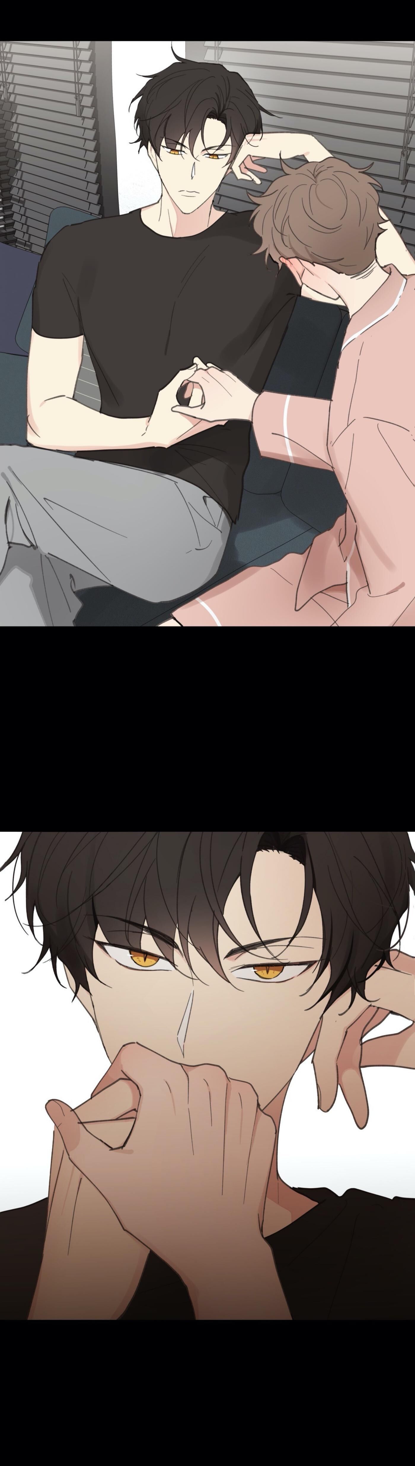 Page 15 of Chapter 38
