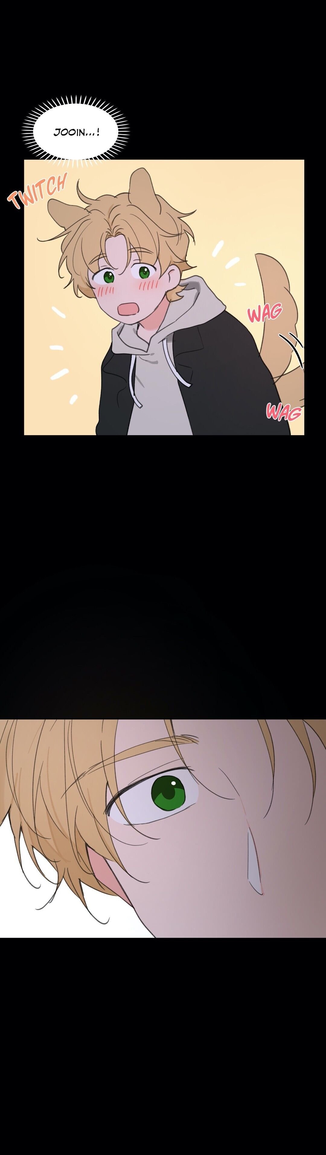 Page 38 of Chapter 51