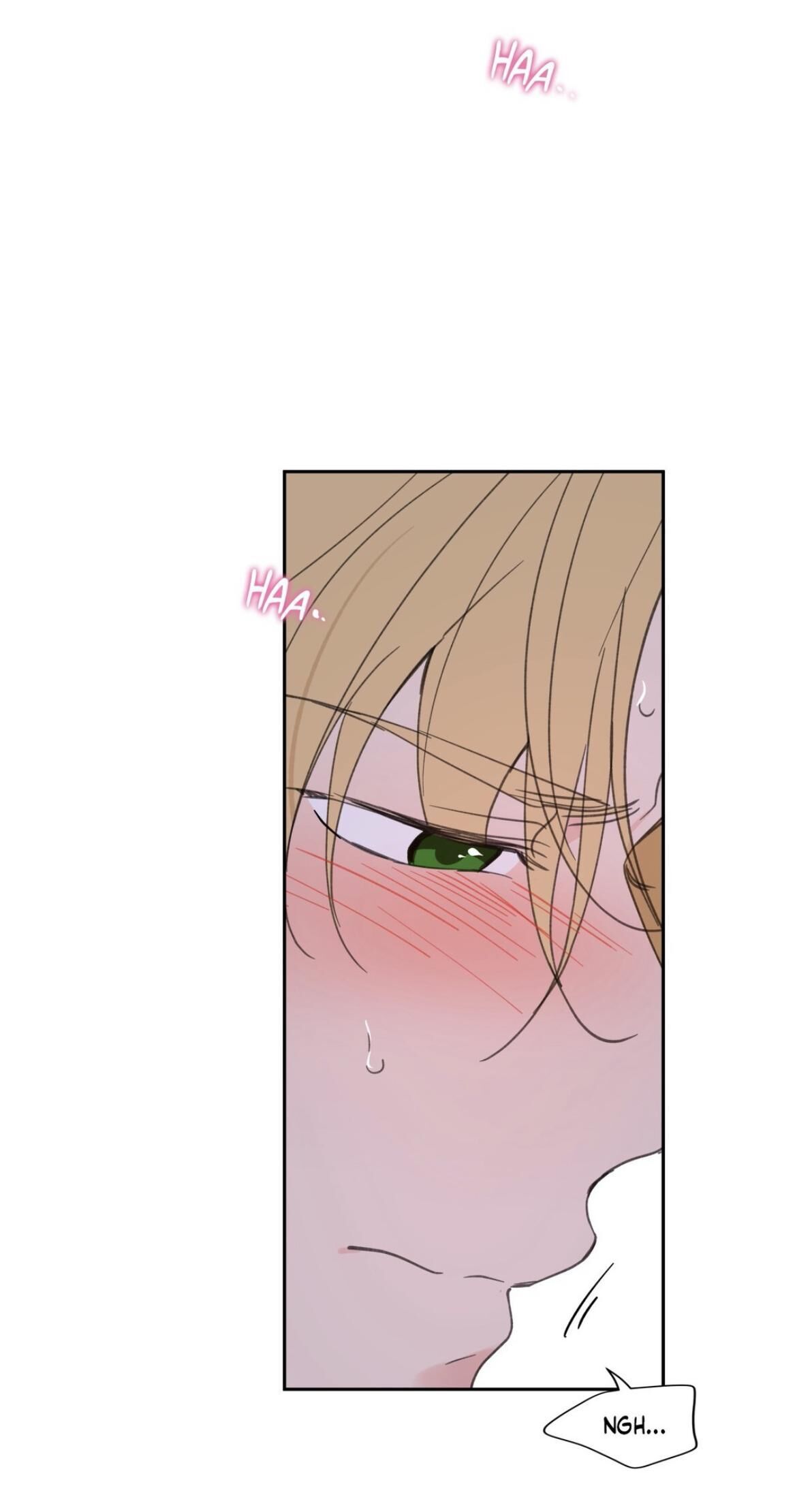 Page 19 of Chapter 55
