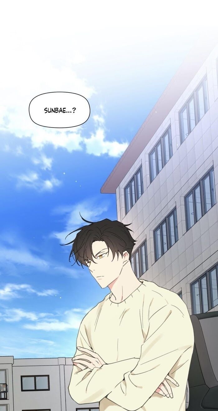 Page 19 of Chapter 56