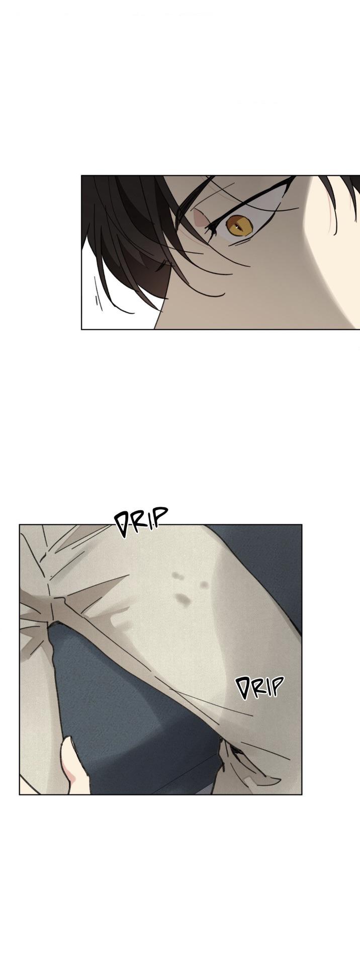 Page 55 of Chapter 80