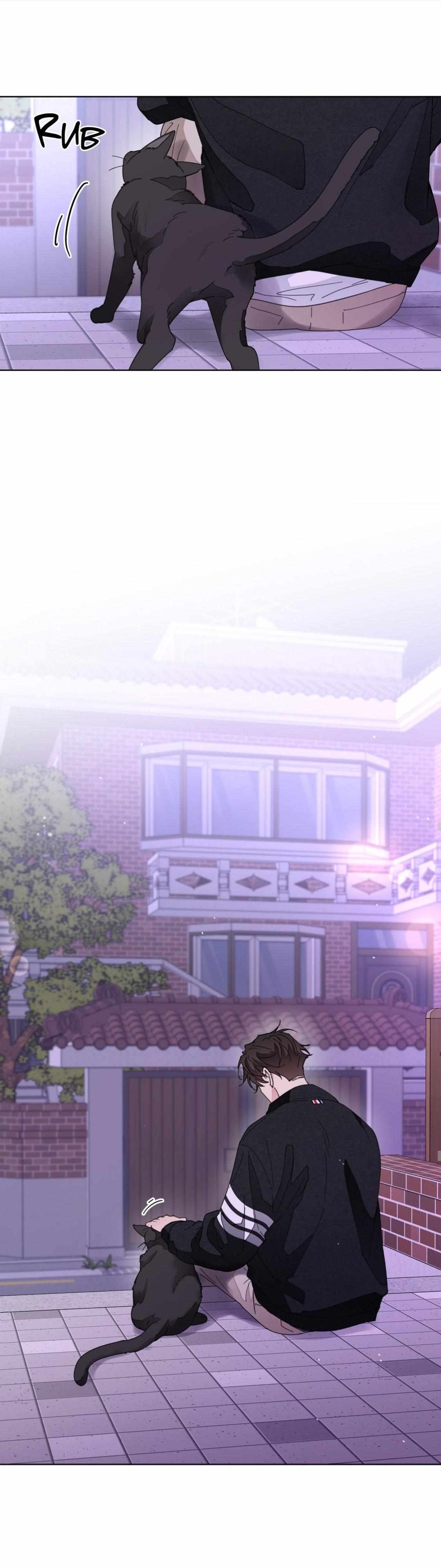 Page 43 of Chapter 81