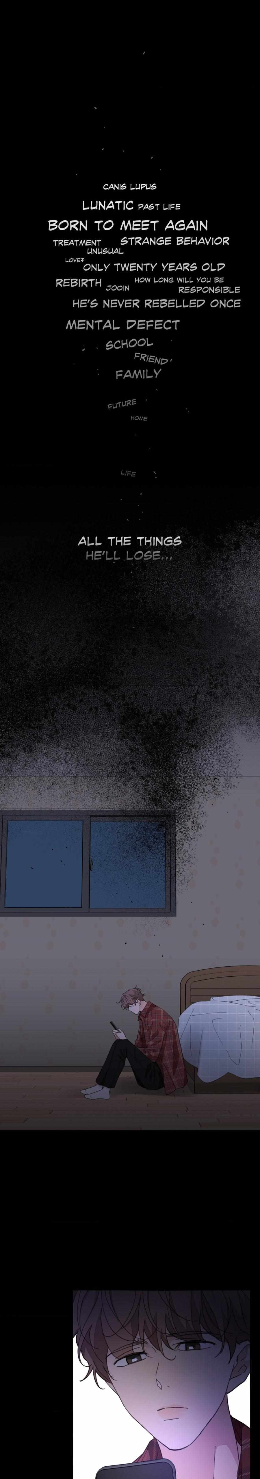 Page 3 of Chapter 91