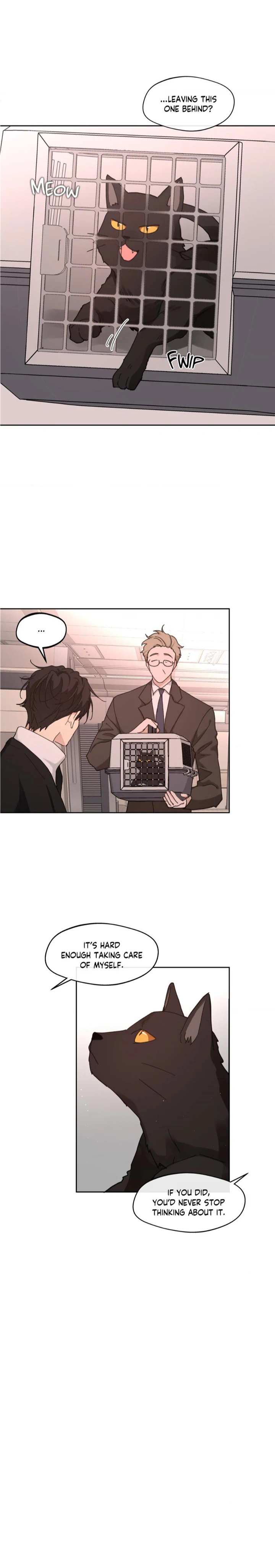 Page 35 of Chapter 95