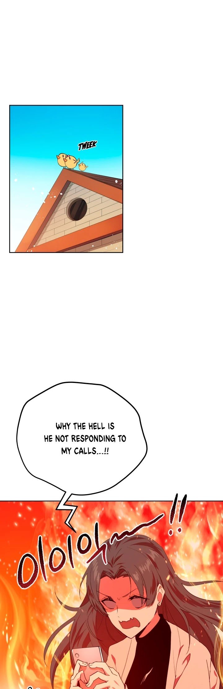 Page 13 of Chapter 80
