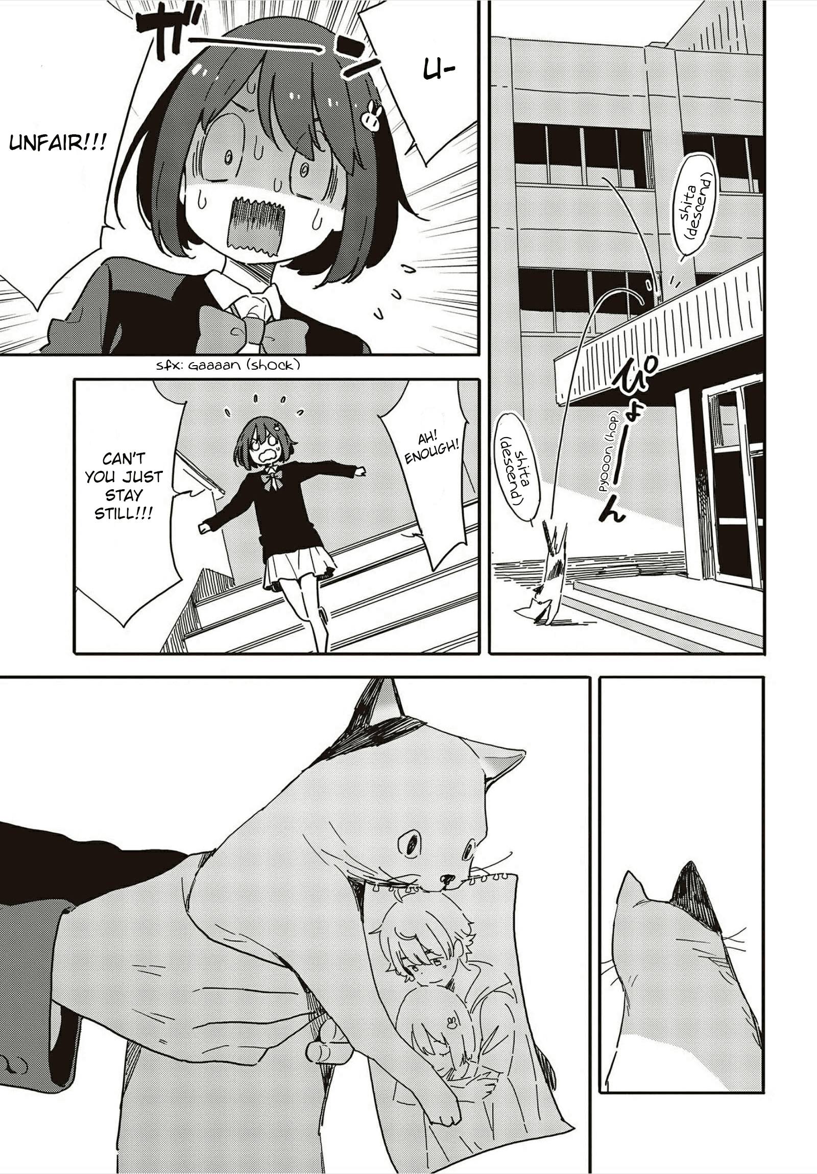 Page 17 of Chapter 109